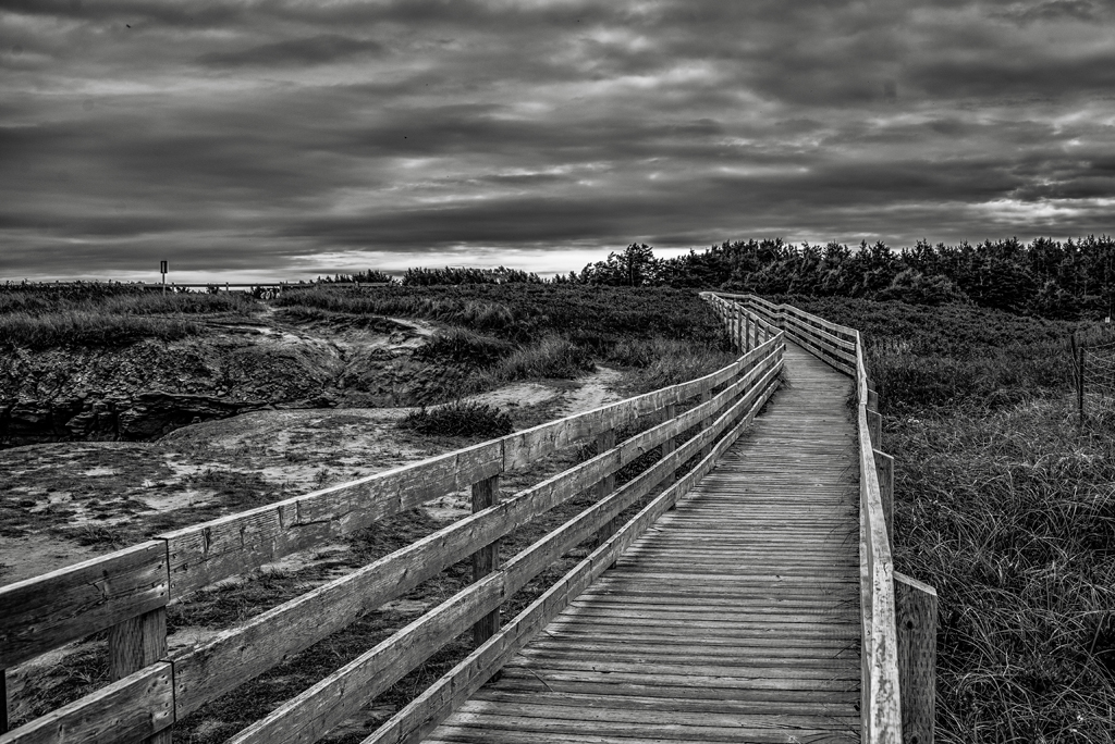 Print In Class M By Frank Teodosio For Boardwalk JAN-2019.jpg